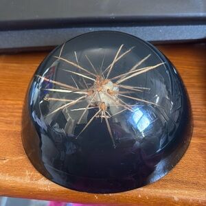 Vintage Lucite Cactus Paperweight
